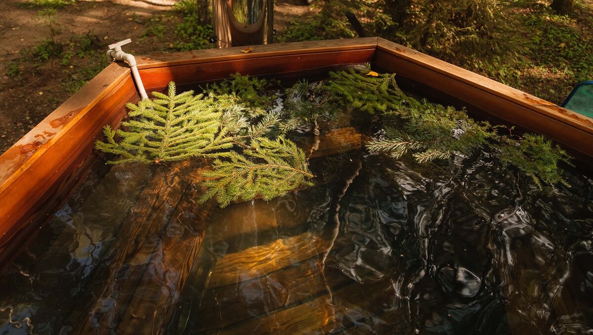 Воспользоваться баней и чаном