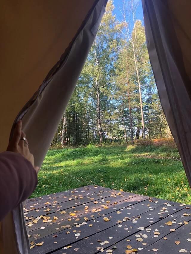 Утро в сказочном месте