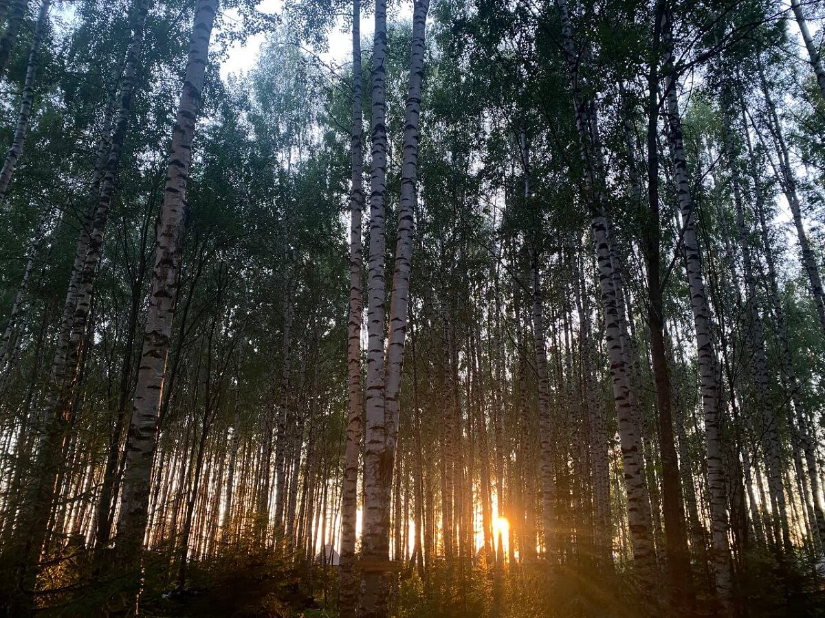 Уединение с природой